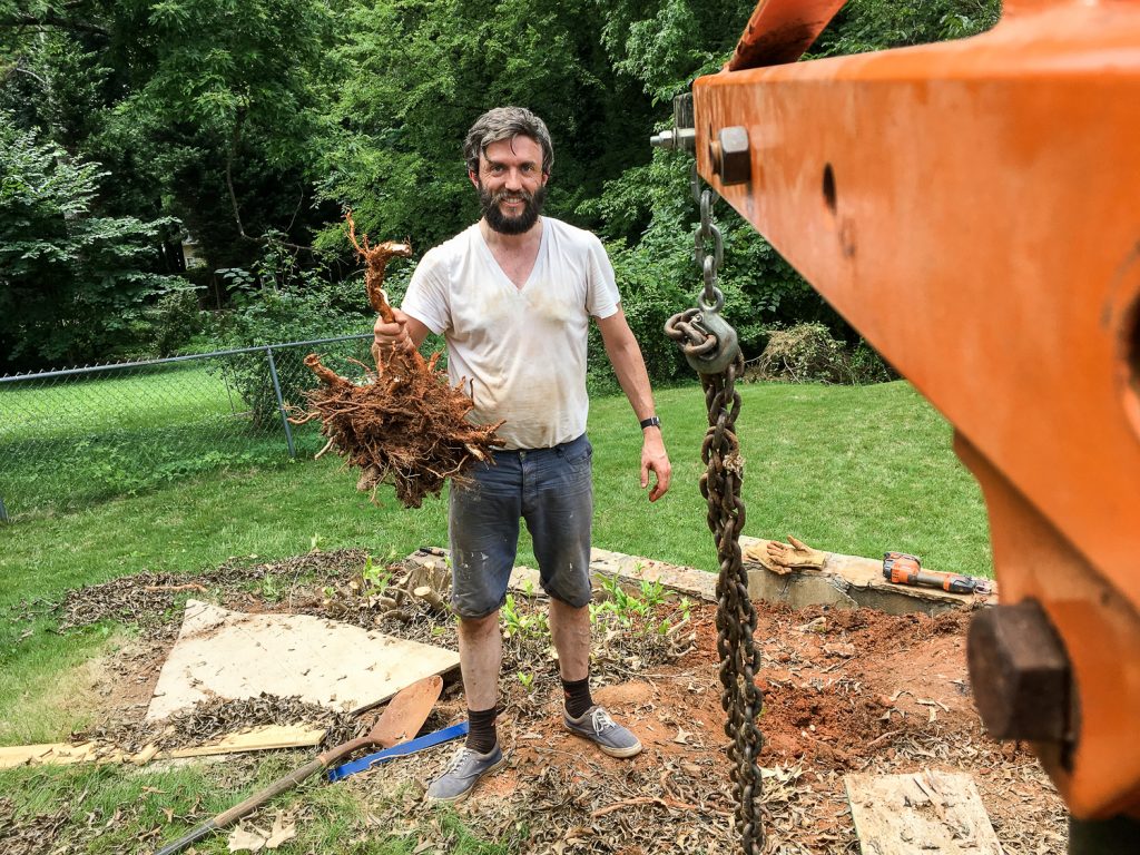 holly bush removal with an engine hoist