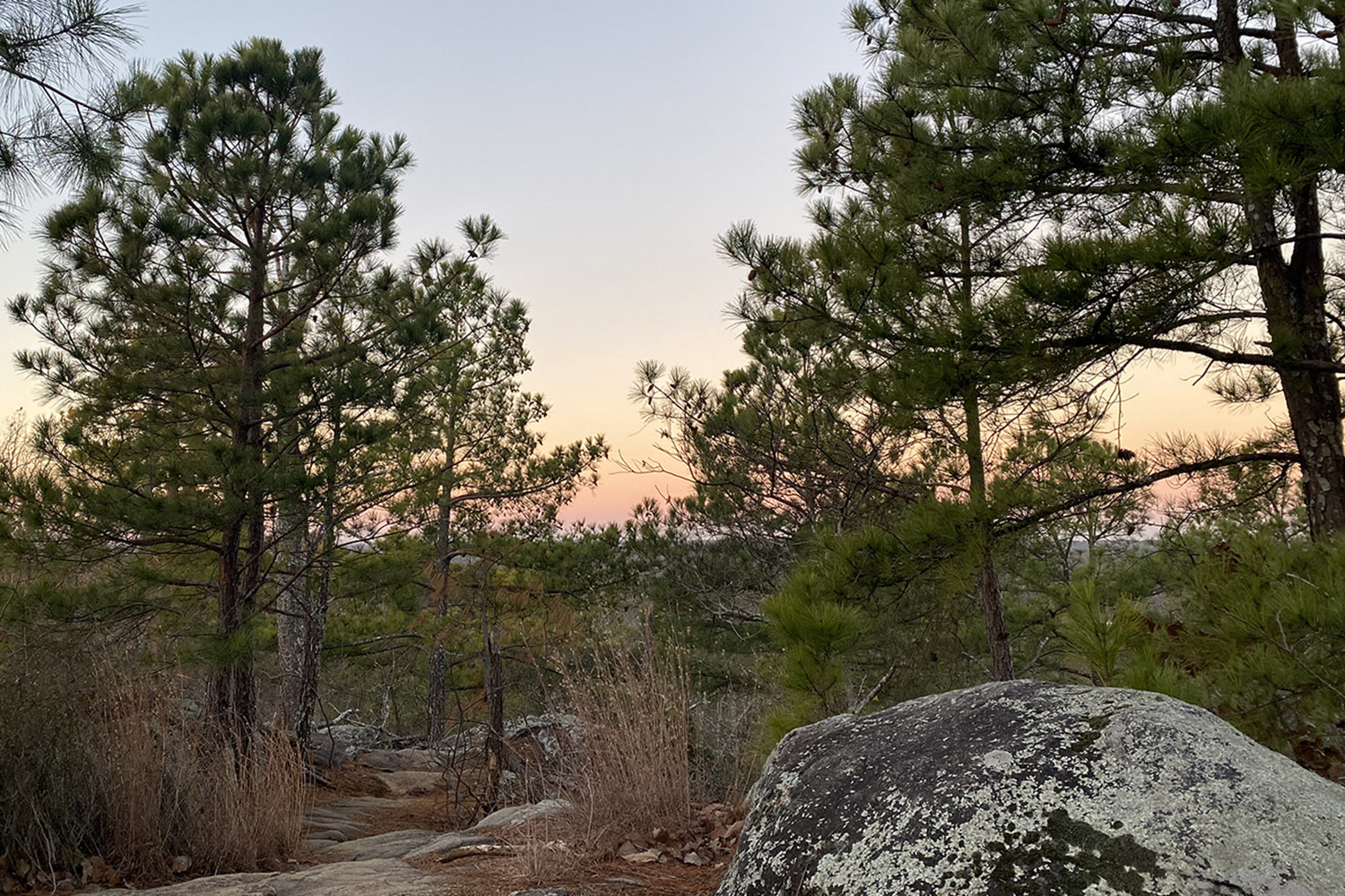 Kennesaw Mountain National Battlefield Park, Pigeon Hill